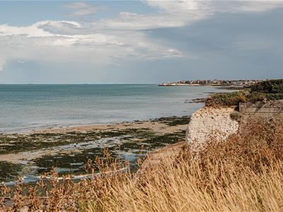 Picture 25